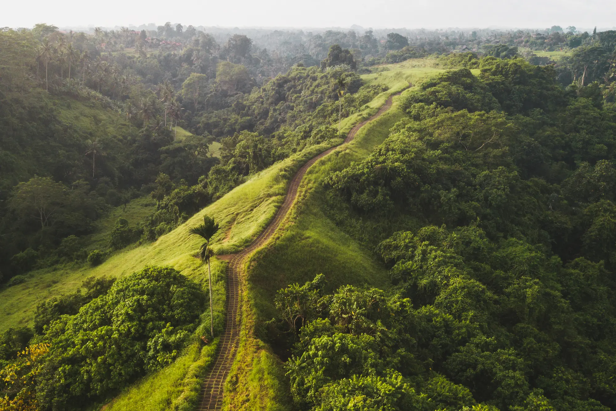 campuhan ridge walk