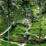 5 Must-Do Experiences in Ubud